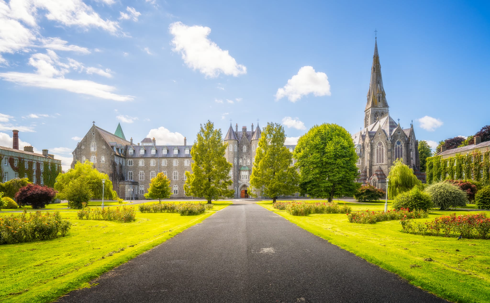 Maynooth University